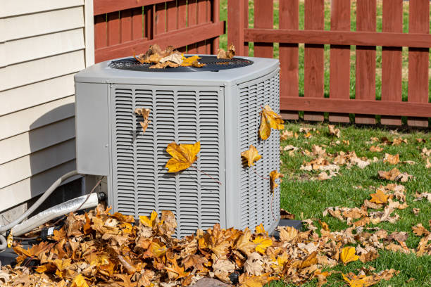 Best HVAC Tune-Up Services  in Dexter, MI