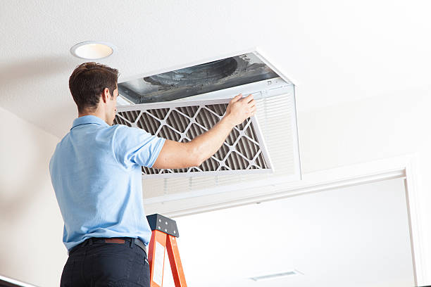 Best HVAC Maintenance Near Me  in Dexter, MI